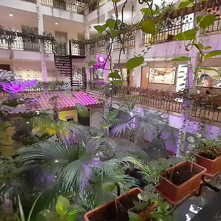 索莉塔尔酒店 3* 柏林